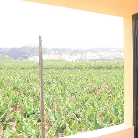 Finca San Miguel Holiday home *